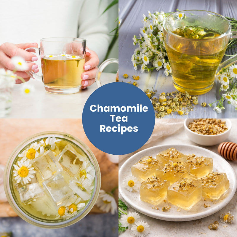POLKA Chamomile Flower Tea (Babuna/Karpurapuspa)