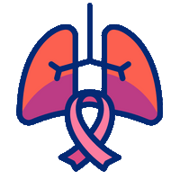 Liver